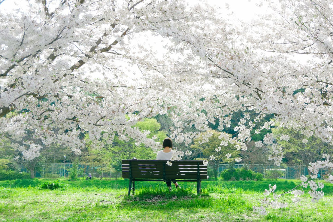 pexels-Frau auf Bank Frühling yurika-7436768.png